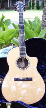 File:Larrivee LSV-11.jpg