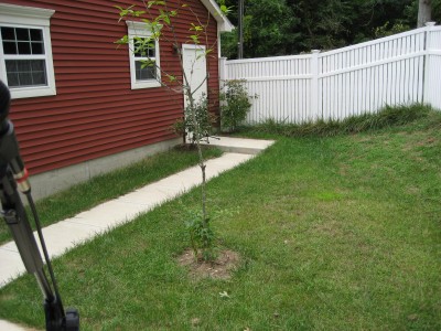 File:BackyardLookingOut.jpg