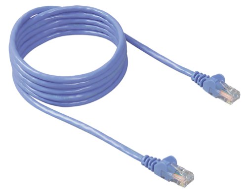 File:Cat5.jpg