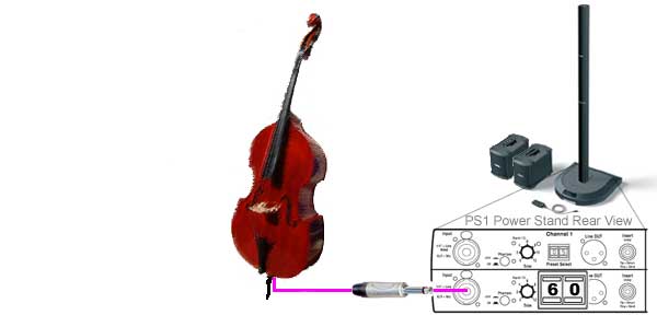 File:AcousticBass01a.jpg