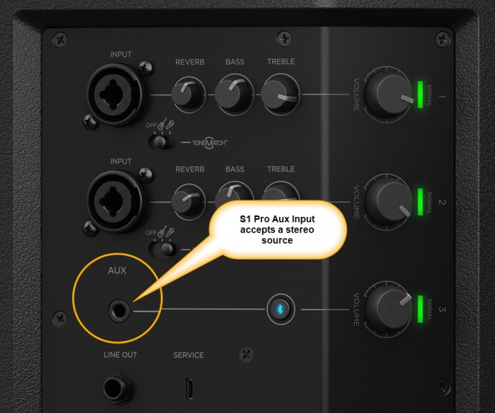 File:S1 Pro Aux Input.jpg