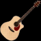 Breedlove Atlas Acoustic Guitar